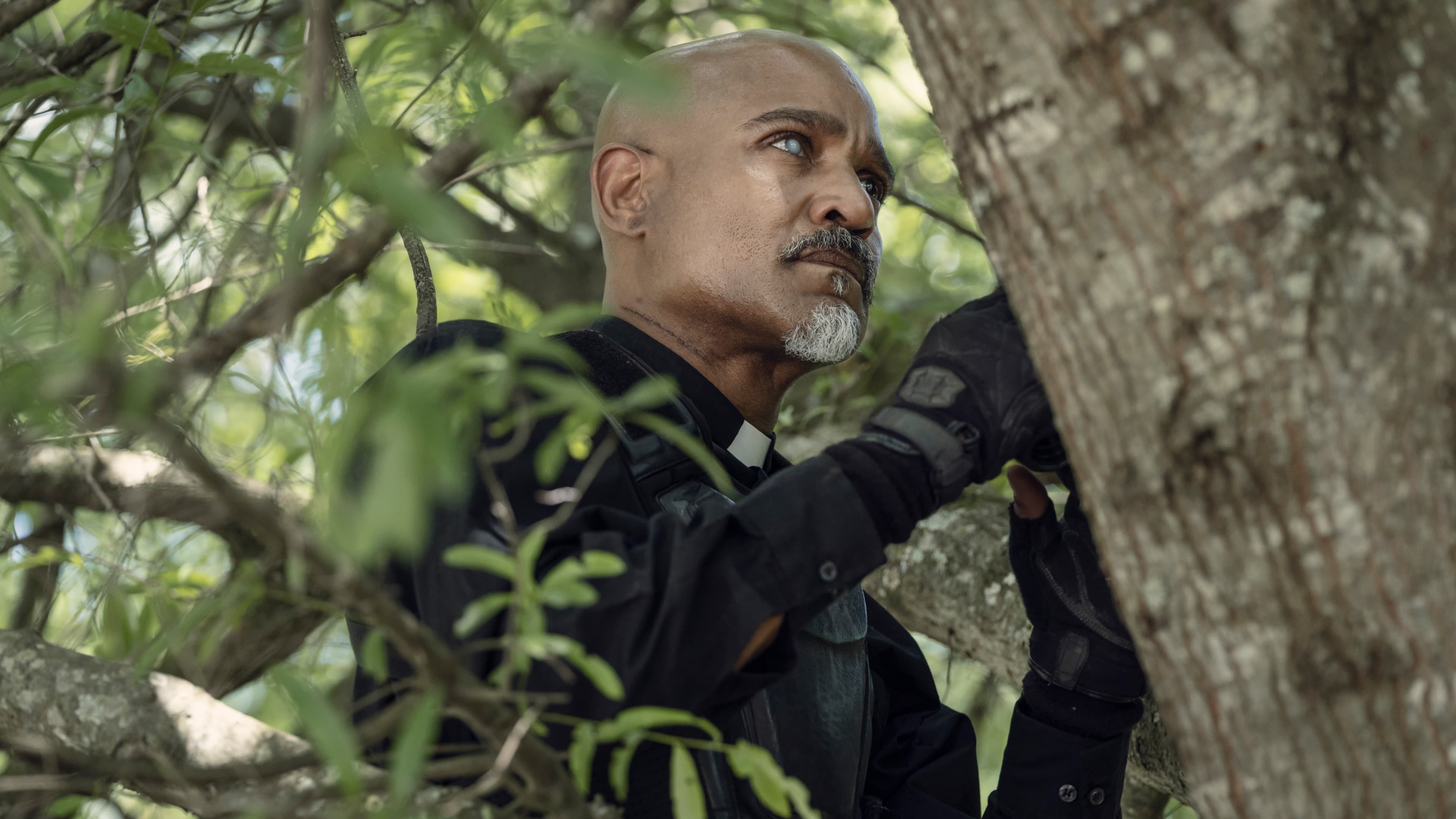 Кадр из сериала Ходячие мертвецы 1 сезон