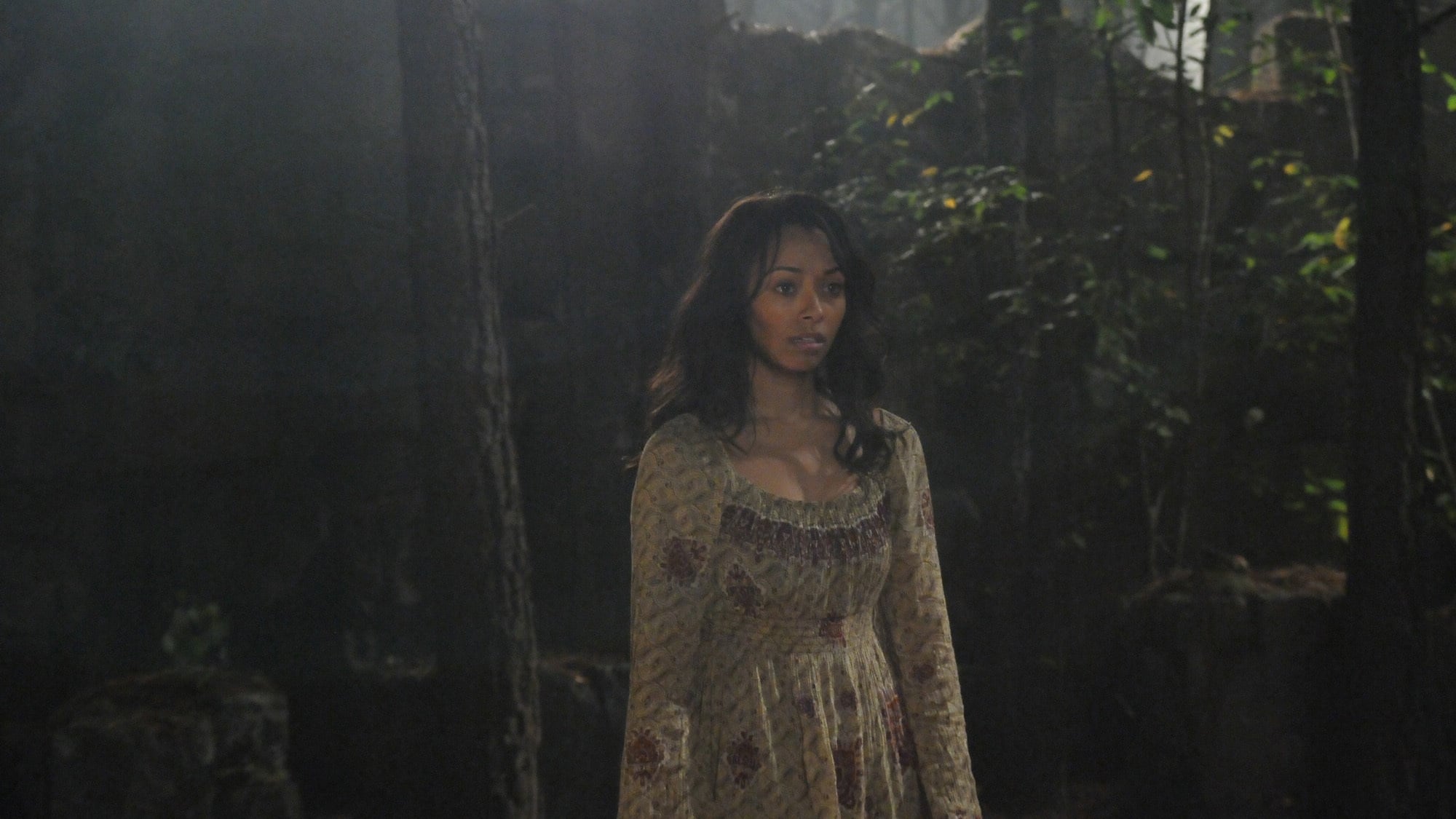 Дневники вампира 1 сезон 9 серия