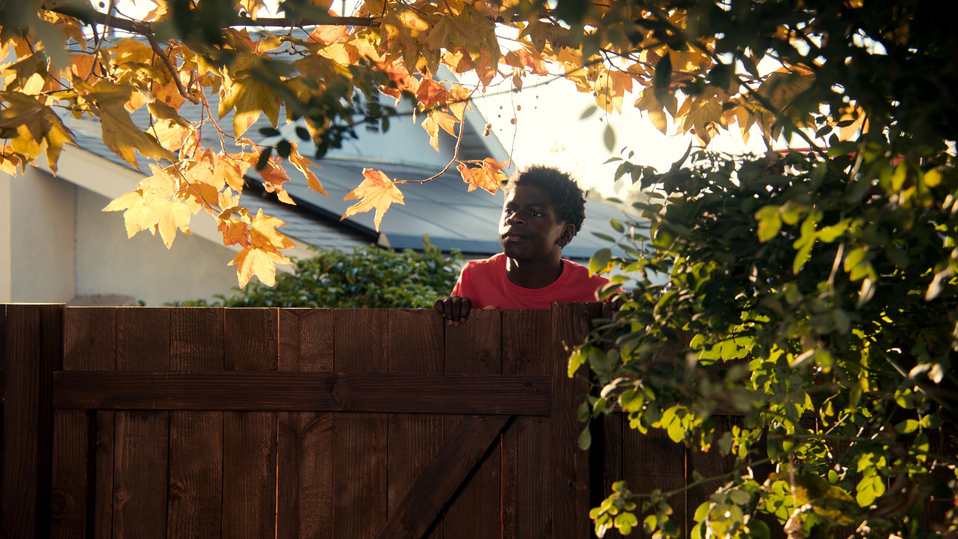 Новая жизнь Эллы 1 сезон 3 серия